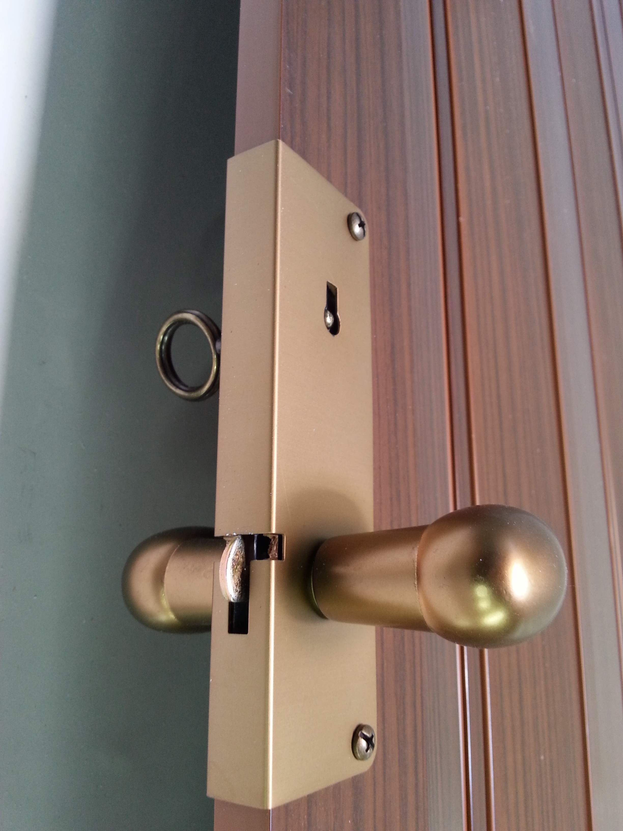 דלתות הרמוניקה בהלול עיצובים 12